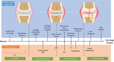 Moving Beyond the Limits of Detection: The Past, the Present, and the Future of Diagnostic Imaging in Canine Osteoarthritis